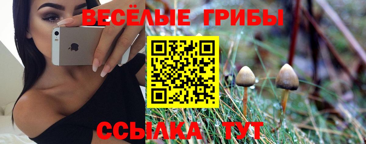 Муравленко  Галлюциногенные грибы GOLDEN TEACHER  Вход с VPN  Галлюциногенные грибы Cubensis 